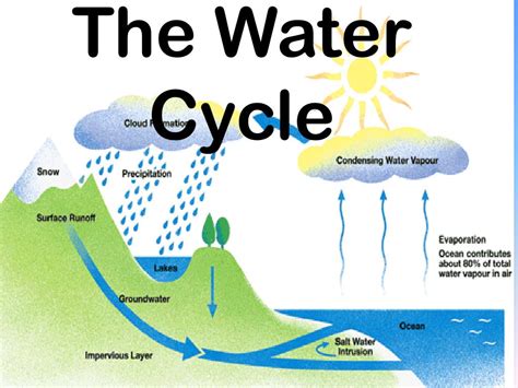 the water cycle powerpoint