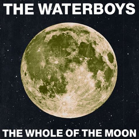 the whole of the moon the waterboys