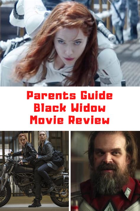 the widow parents guide