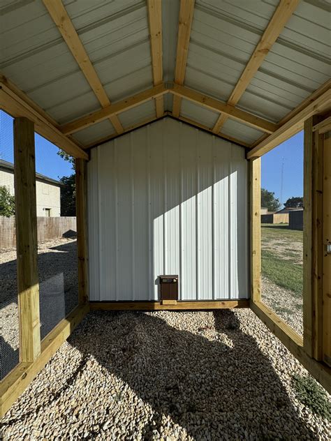 Discover the Fascinating World of The Yard Robinson: A Birding Enthusiast's Haven