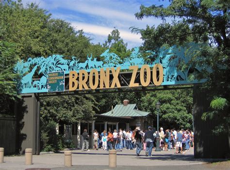 the zoo bronx zoo