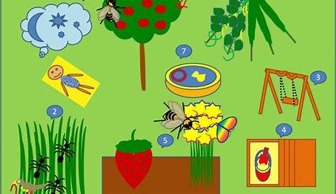 Thema Garten Im Kindergarten - 1000 Garten Design Ide