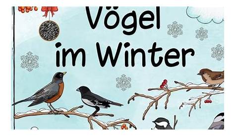 Vögel Im Winter Arbeitsblätter Kindergarten - Zugvogel Sailer Verlag