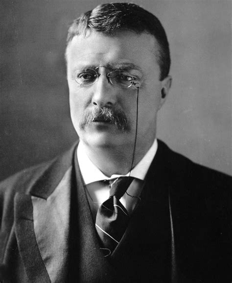 theodore roosevelt chief of state