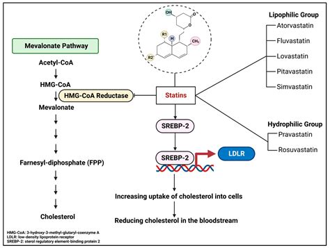 therapeutic effect of simvastatin