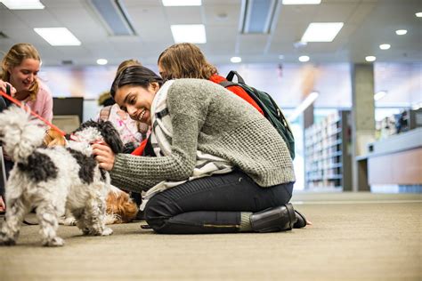 Best Therapy Colleges