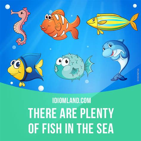 there's plenty of fish in the sea meaning