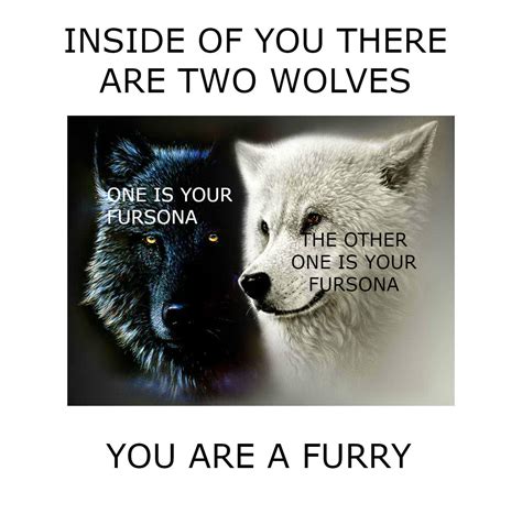 there are 2 wolves