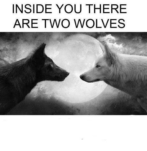 there are 2 wolves inside you