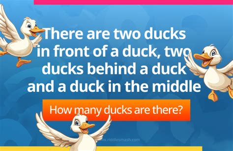 There Are Two Ducks In Front Of A Duck Answer