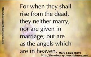there is no marriage in heaven kjv