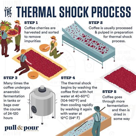 Thermal Shock Process Coffee