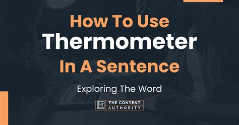 Thermometer Examples In A Sentence