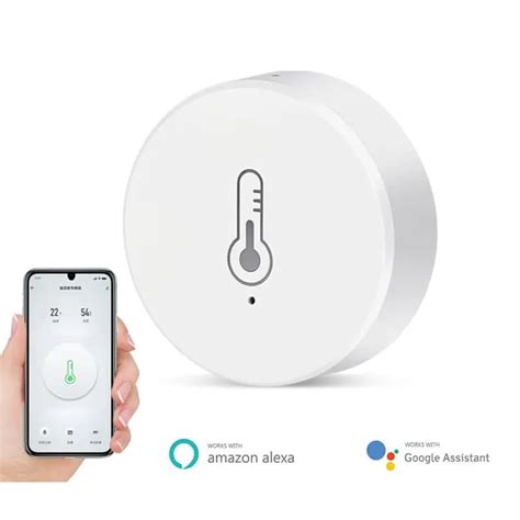 Thermometer Google Home