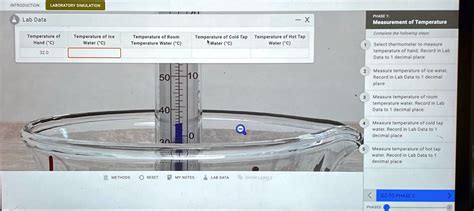 Thermometer Lab Simulation