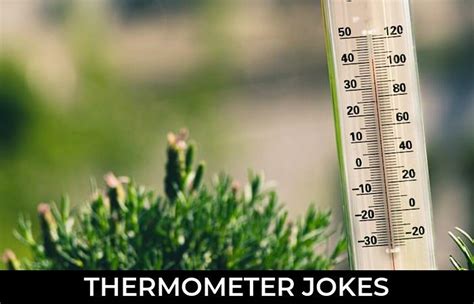 Thermometer Puns