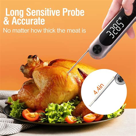 Thermometer Turkey Temperature