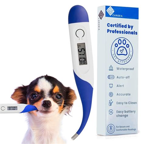 Thermometer Veterinary Definition