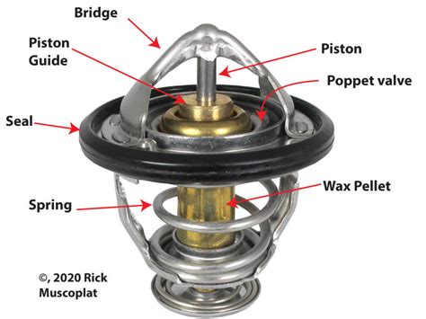 Thermostat In Engine Function