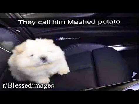they call him mashed potato