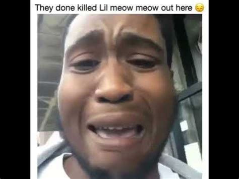 they killed little meow meow