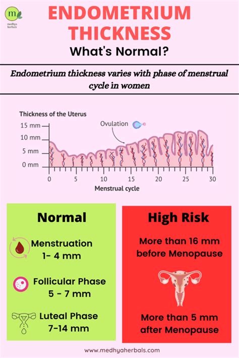 Thickened Endometrium Hrt
