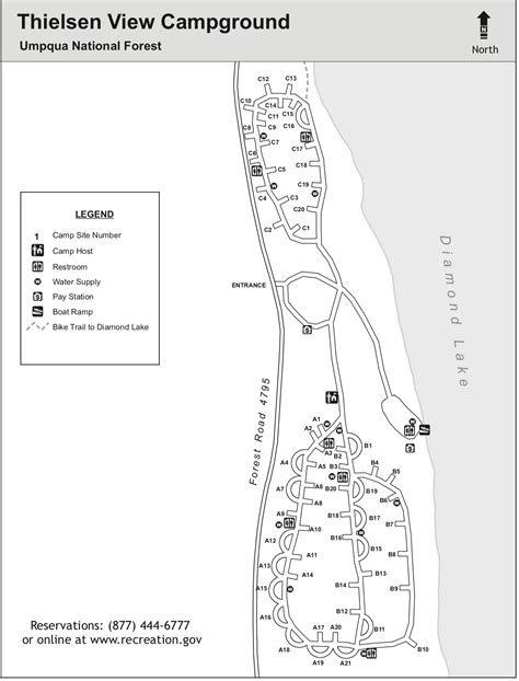 Site 11, Thielsen View Campground Recreation.gov