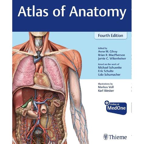 thieme atlas of anatomy 4th edition
