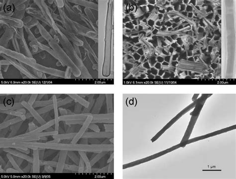 Thimble Like Structure Meaning