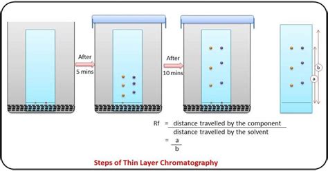 Thin Layer Chromatography How Does It Work