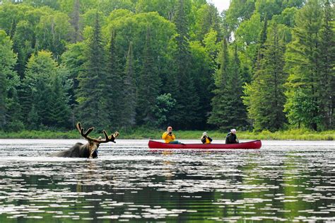 Algonquin Adventure Tours Guided Canoe Trips in Algonquin Park