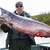 things to do in king salmon alaska