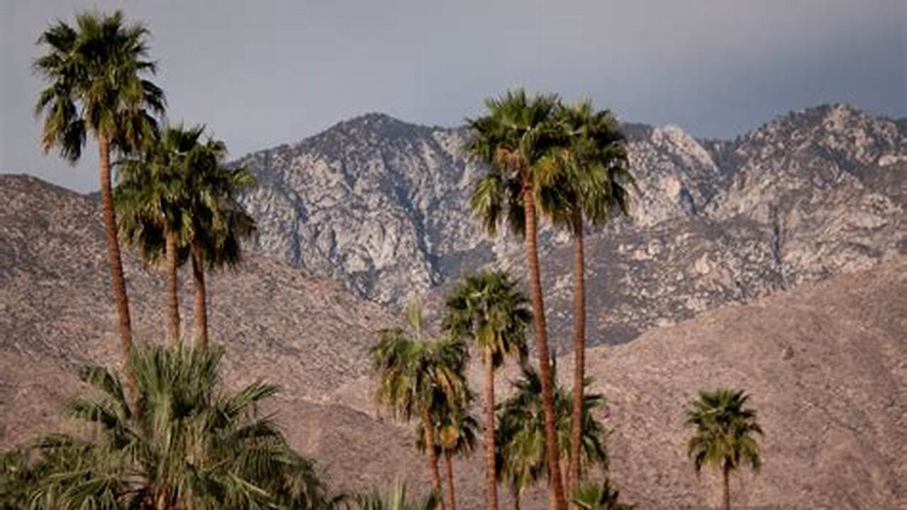 Unveiling Palm Springs: Your Ultimate Guide to January Adventures