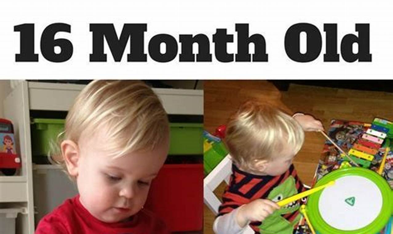 Engaging Activities for 16-Month-Olds: A Comprehensive Guide for Parents
