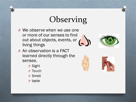 things To observe