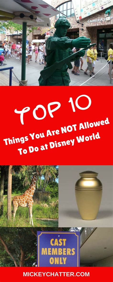 things not to do at disney world