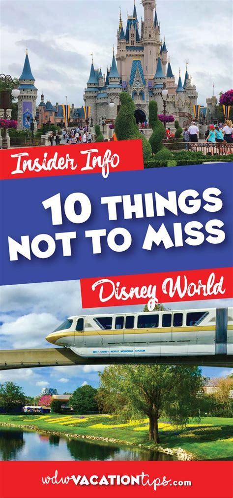 things not to miss in disney world