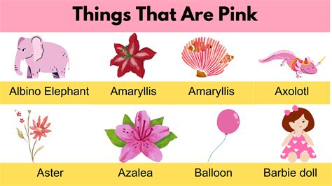 Hidden Secrets of Things That Are Pink
