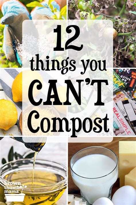 Things That Cannot Be Composted
