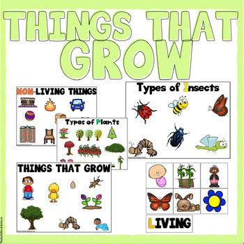 Things That Grow Nursery