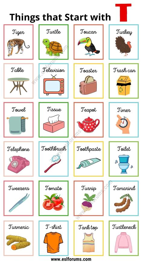 Things That Start With A And T