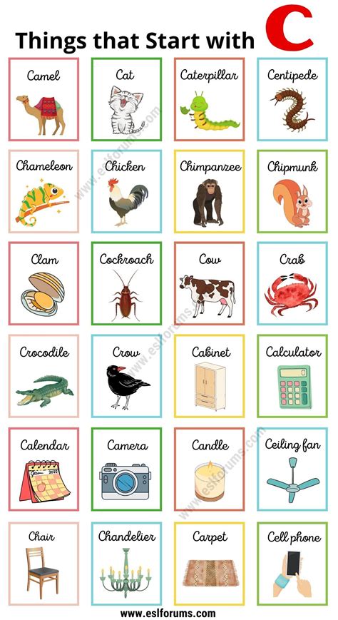 Things That Start With A C