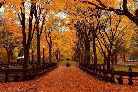 Things To Do During Fall In Nyc