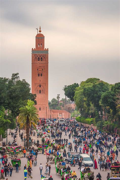 things to do in Marrakech