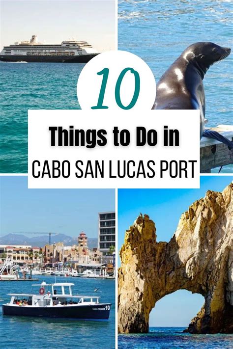 Attractions near Cruise Port Attractions in Cabo San Lucas