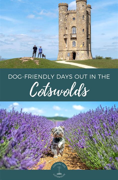 Things To Do In Cotswold With Dog