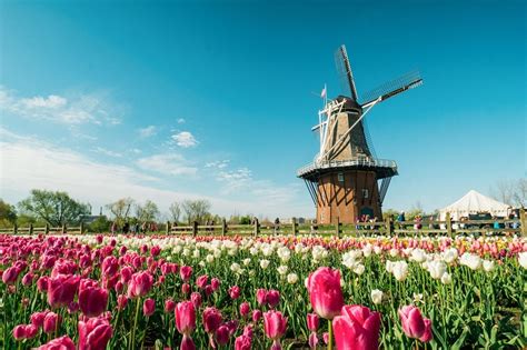 things to do in michigan for spring break