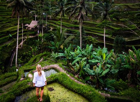 things to do in ubud bali indonesia