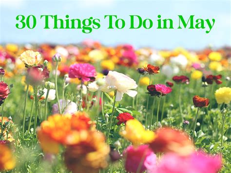 things to do may 18 2024
