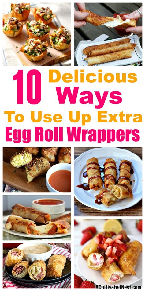 Recipes Using Egg Roll Wrappers ThriftyFun